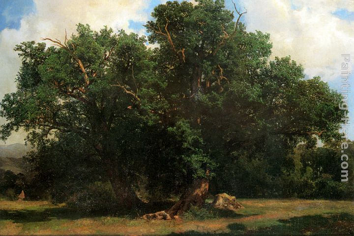 Oak Trees painting - Johannes Bosboom Oak Trees art painting